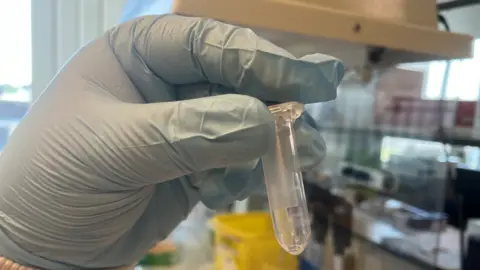 A small clear testing tube held up by a blue gloved-hand