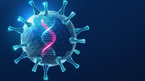 Getty Images A graphic of a virus containing a strand of DNA representing the correct copy of the factor IX instructions being given to the body