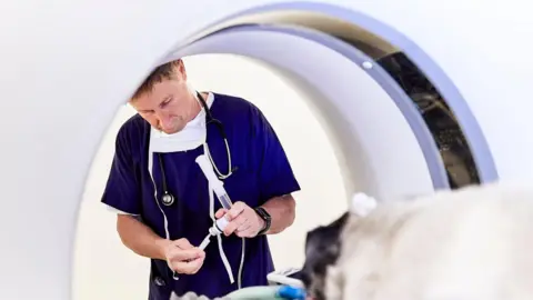 Getty Images Medical staff oversee a cancer scan