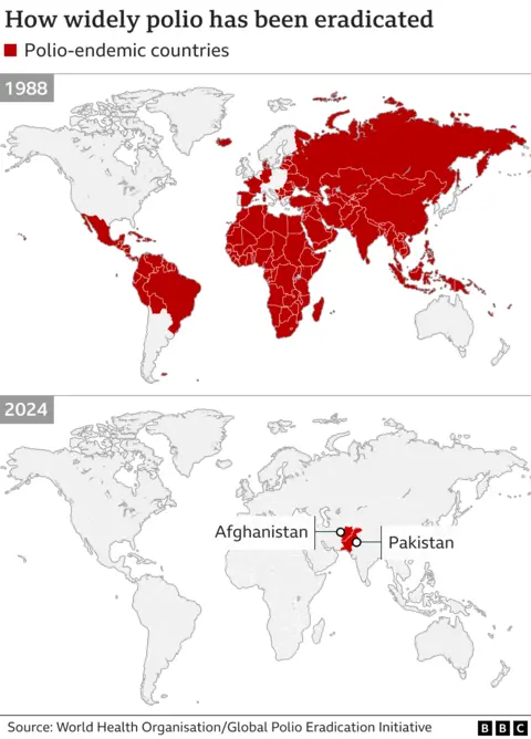 World maps in 1988 and 2024 highlighting countries where polio has been eradicated