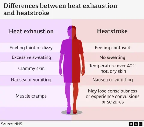 A graphic showing the differences between heat exhaustion and heatstroke. Heat exhaustion symptoms are listed as: feeling faint or dizzy; excessive sweating; clammy skin; nausea or vomiting, and muscle cramps. Heatstroke symptoms are: feeling confused; not sweating; a body temperature above 40C with hot with dry skin; nausea or vomiting; [may lose consciousness or experience convulsions or seizures.