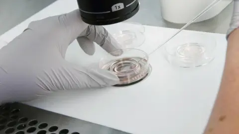 Getty Images A gloved hand holds a petri dish under a microscope