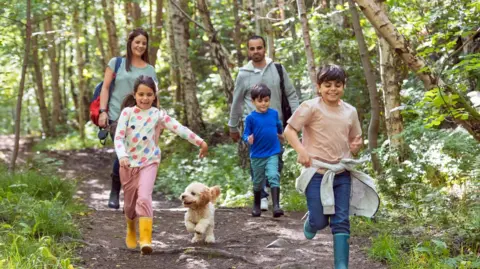 Getty Images A wide, front view angle shot of a family and their dog walking through a woodland forest in Northumberland, Northeastern England during the Covid-19 pandemic.